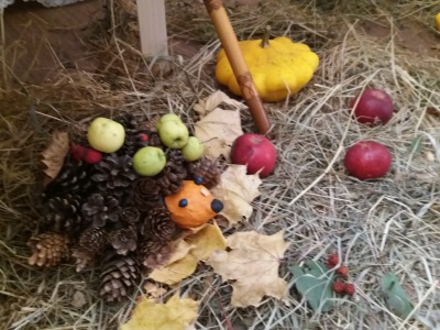 IMG-20181018-WA0009.jpg